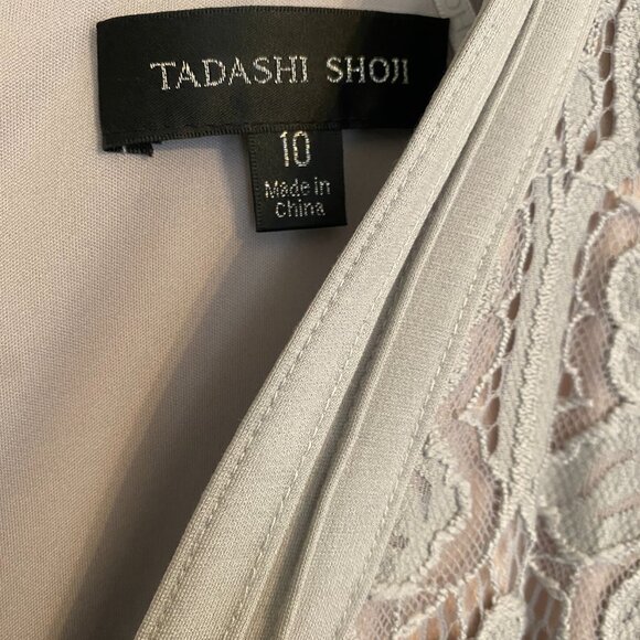 Tadashi Shoji, Dumin Lace Dress in Pewter, Size 10 - Picture 9 of 11
